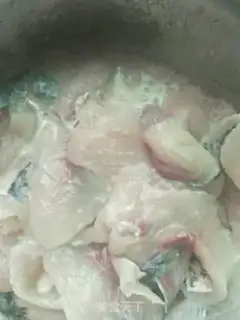 Make Squirt fish step 0