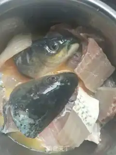 Make Squirt fish step 1