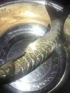 Make Jealousy fish step 2