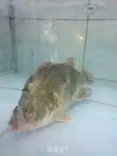 Make Spicy fish step 1