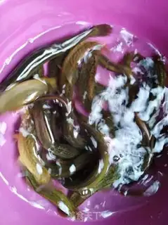 Make Red burning mud step 0