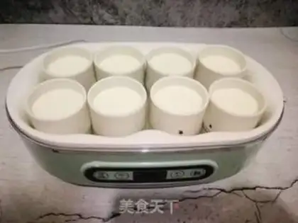 Make Homemade yogurt step 4