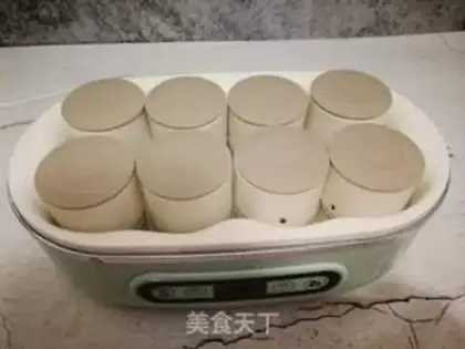 Make Homemade yogurt step 5