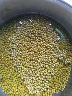 Make The bean sand belly step 1