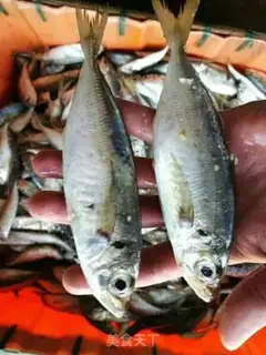 Make tanfish dry step 0