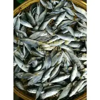 Make tanfish dry step 2
