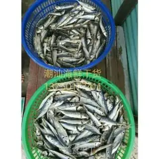Make tanfish dry step 5