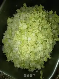 Make Pork dumplings step 0