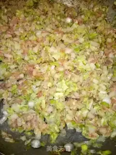 Make Pork dumplings step 3
