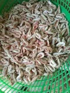 Make Wild shrimp step 2