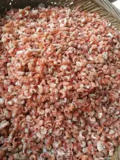 Make Wild shrimp step 4
