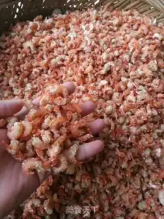 Make Wild shrimp step 5