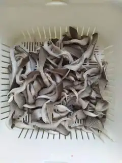 Make Mushroom egg soup step 0