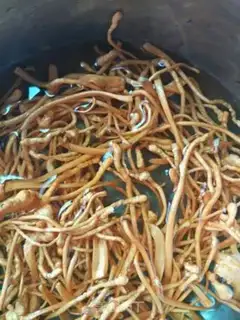 Make Mountain bacteria step 1