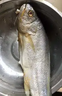 Make Red-hot yellowfish step 0