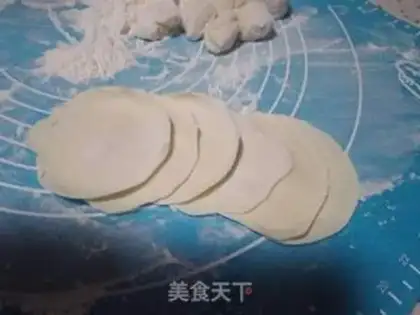 Make Pork dumplings step 12
