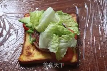 Make A sandwich step 11