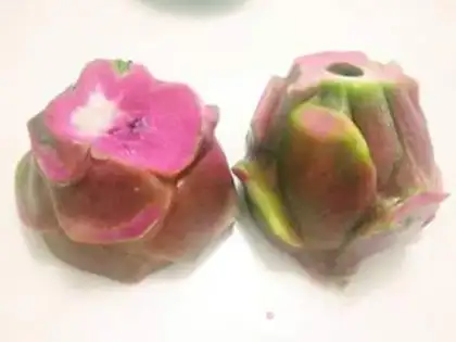 Make Frozen dragon-fruit step 1