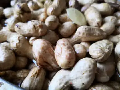 Make Cook peanuts step 5