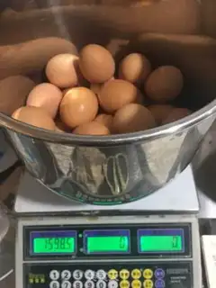 Make Cheesecake step 0
