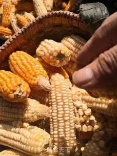 Make Fine corn stew step 0