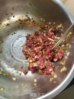 Make Beef dumplings step 0