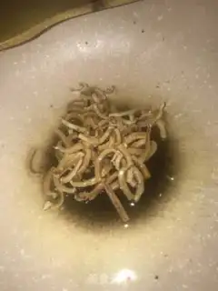 Make Cheese step 5