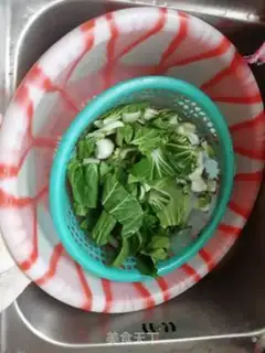 Make Salted cuisine step 1