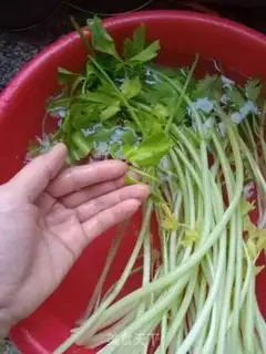 Make Celery beef step 1