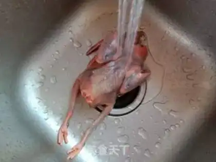 Make Clean up the pigeon soup step 0