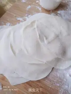 Make Beef pan sticker step 5