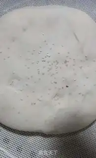 Make A lasagna step 8
