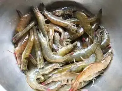 Make Garlic shrimp step 0