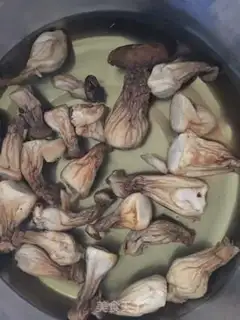 Make Cabbage tofu step 0