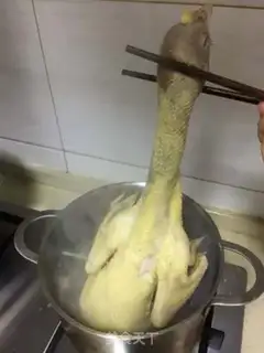 Make White pheasant step 3