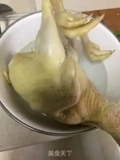 Make White pheasant step 4