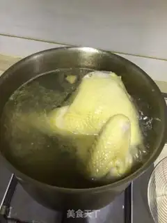 Make White pheasant step 5