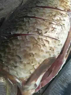 Make Soupfish step 0