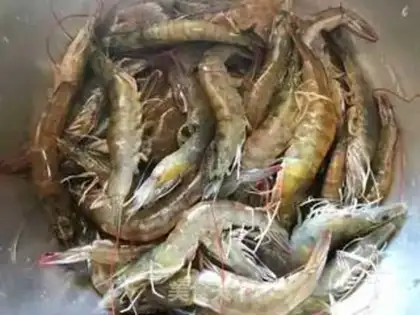 Make Shrimp string step 0