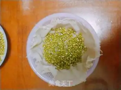 Make Auto green bean sprouts step 3