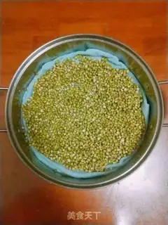 Make Auto green bean sprouts step 4