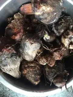 Make Tacoball step 0
