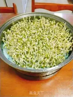 Make Auto green bean sprouts step 7