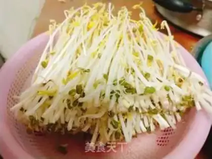 Make Auto green bean sprouts step 9
