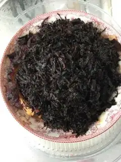 Make Plum chow step 15