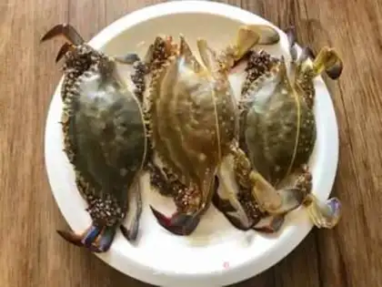 Make Crabs step 0