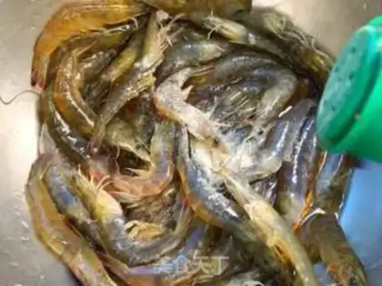 Make Spicy shrimp step 3