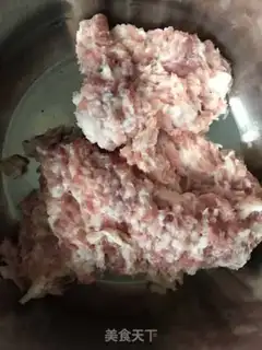 Make dumplings step 0