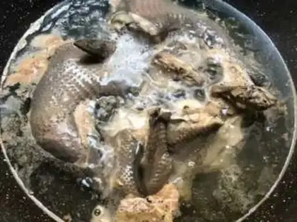 Make Chicken soup step 4