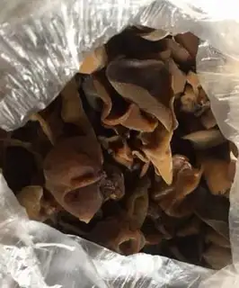 Make Dragon sprouts, black wood, fan bones step 1
